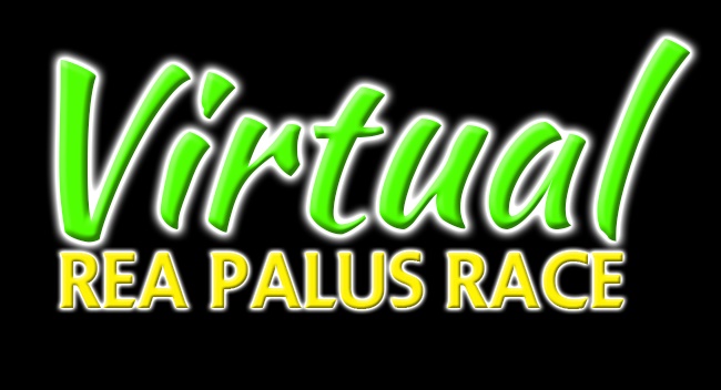 VIRTUAL REA PALUS RACE