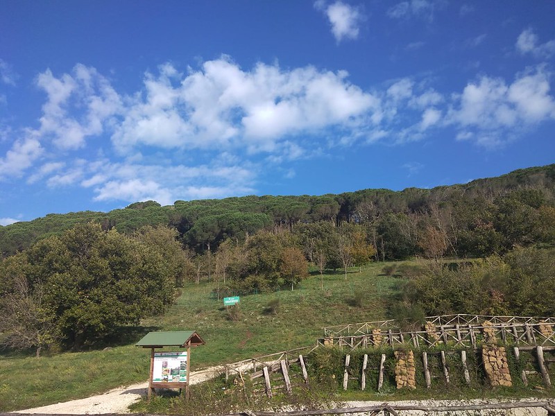 PASSEGGIATA DELLA SALUTE - FRASCATI