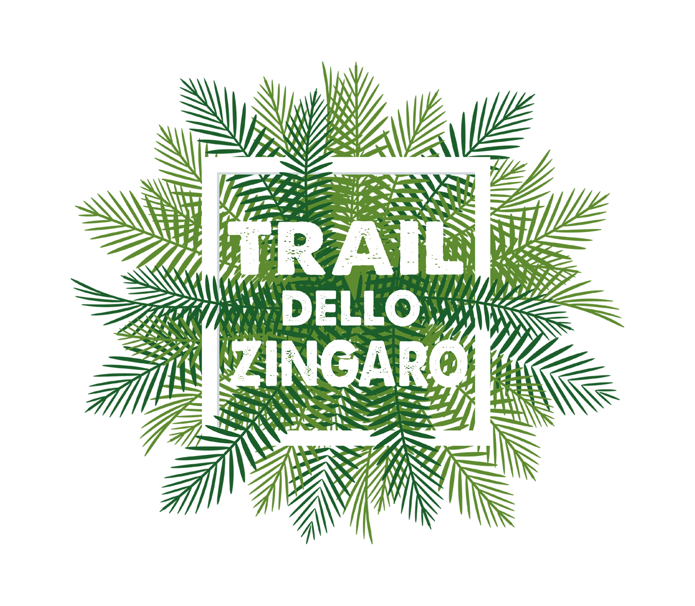 TRAIL DELLO ZINGARO 2022