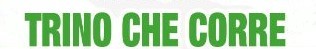 TRINO CHE CORRE XVI EDIZIONE