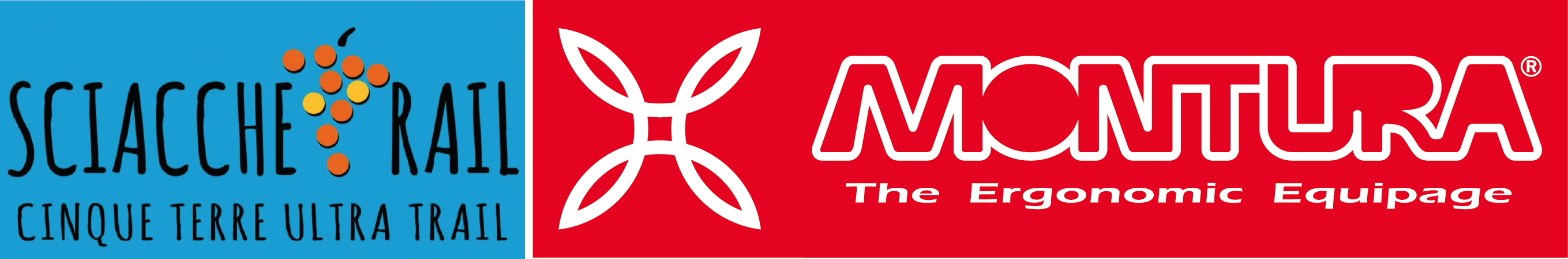 8° SCIACCHETRAIL - SHORT