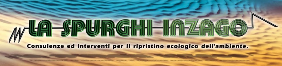 Sponsor La Spurghi Inzago